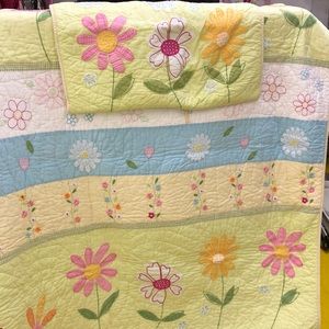 Pottery Barn Tein Quilt/sham